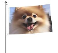 Happy Pomeranian Bandiere per esterni 0,6 x 0,9 m, bandiera stagionale da giardino con occhielli bandiera esterna per decorazioni per la casa sfondo fotografico