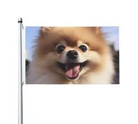 Happy Pomeranian Bandiere per esterni 9 x 1,5 m, bandiera stagionale da giardino con occhielli bandiera esterna per decorazioni per la casa sfondo fotografico