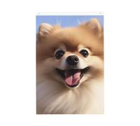 Happy Pomeranian Welcome Garden Flag 0,6 x 0,9 m Double Sided No Fade House Yard Bandiere Photo Sfondo Banner per Cortile Portico Prato Decorazione Esterna