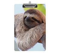 Happy Sloth Appeso Albero Formato A4 Appunti Divertente Estetico Lavoro Studiando Lettera Lavagna per Appunti Standard 12,5×8,5 in Pannello rigido per Aula Scolastica Bambini che scrivono Disegni