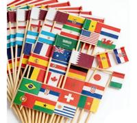 HAPZUR 100 Pezzi Bandierine Stuzzicadenti Multinazionali, Stuzzicadenti Decorativi con Bandierine del Mondo e Mondia Bandiere per Decorare Cocktail, Panini, Coppa del Mondo 2026, Bar
