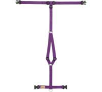 Haqihana Pettorina ad H Viola in Nylon per Cani XL