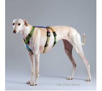 Haqihana Pettorina Doppia H Antifuga per Cani Multicolor M2H (torace 60-90cm)
