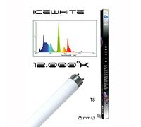 Haquoss Icewhite Lampada 30 Watt/895mm, T8