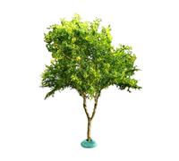 harayaa Albero di ciliegio Artificiale in Miniatura, Modello di Albero di Fiori, centrotavola Carino, Fai da Te, Tavolo di Sabbia, Artigianato per Interni ed, Verde, 11.5 Cm