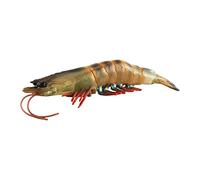 harayaa Modello Realistico di Animale Marino, Set di Gioco per L'apprendimento Precoce, Figure Giocattolo di Creature Forma di Gambero, Nero 38g