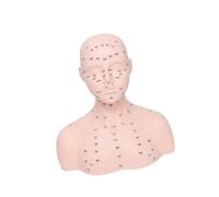 harayaa Testa di bambola per esercitazioni di massaggio con ciglia e spalle, modello di manichino professionale per espositore per cappelli per trucco e