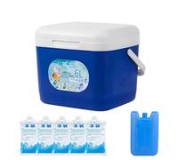 Hard Cooler Box - 6L Leakproof Insulated | Portable, With Ice Packs | Airtight Durable Construction, Keeps Drinks & Food Cold, Sturdy Carry Handle, Perfect For Road Trips, Tailgating