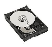 DELL YJ2KH disco rigido interno 2.5 300 GB SAS (HD, GB, 512b, SAS12, 10K - RPM, inch, 64MB, Seagate, Thunderbolt Hot Plug Warranty: 6M) [YJ2KH]
