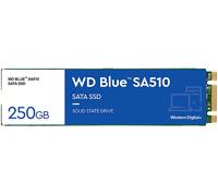WD Blue Sa510 SATA SSD M.2 2280 250 GB intern M.2 2280 SATA WDS250G3B0B-00AXS0