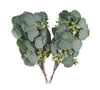 Harewtwy 20 Pezzi Artificiali Dollaro D' Verde Steli di Seta Foglie di Eucalipto Rami di Eucalipto Finto Rametti