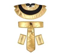 Harilla Accessori per Costumi egiziani per Adulti Bomboniere Spettacolo Compleanno in Maschera Polsini con Cintura egiziana Costume da Faraone, Niente Cappello e Bastone