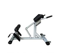Harilla Fitness Training Bench Romana Iperestensioni Addominali Lombari con Telaio Acciaio Cuscini E Rulli Supporto Multiposizione Regolabile per Esercizi , Sedia Romana Argento