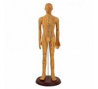Harilla Manichino Agopuntura Modello Didattico su Base Rotonda Acupunti E Meridiani Annotati Ad Alta Precisione PVC Rigido Adatto per Lezione Pratica Clinica Autoapprendimento, 62 Cm, style to 3