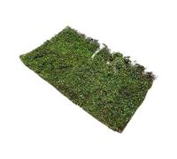 Harilla Mini ciuffi d'erba Mini Modello di Paesaggio Modello di cespuglio di arbusto in Miniatura per l'edilizia architettonica, L