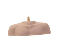 Harilla Supporto per testa di manichino con spalla, modello di busto e spalla professionale per cosmetologia, per barbiere, salone, studio, Asta Liscia