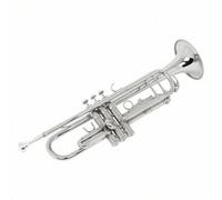 Harilla Tromba Bb Standard Strumento Ottoni Tromba Classica a Pistoni Profilo Diritto Equilibrio Acustico con Custodia Bocchino Panno Pulizia Adatta per, Nero Oro