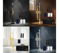 Harilla Tromba Bb Standard Strumento Ottoni Tromba Classica a Pistoni Profilo Diritto Equilibrio Acustico con Custodia Bocchino Panno Pulizia Adatta per, Oro