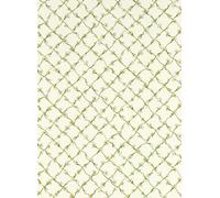 Harlequin Carta da parati Daisy Trellis - Emerald/ Pearl