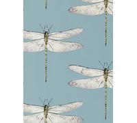 Harlequin Carta da parati Demoiselle - Cornflower/ First Light/ Honey