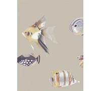 Harlequin Carta da parati Kamanu - Mandarin/ Fig