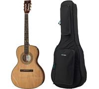 Harley Benton CLF-200 WN w/Bag