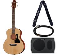 Harley Benton GS-Travel-E Bass Spruce Set