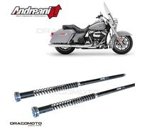 HARLEY-DAVIDSON FLH / FLT Touring CVO (cerchio da 21") 2013-2020 cartuccia AN...