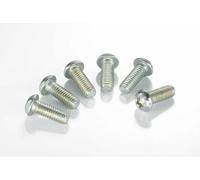 Harley Davidson FXDSE2 1800 2008 Set Di Bulloni Per Disco Freno TRW 5 MSS130-5