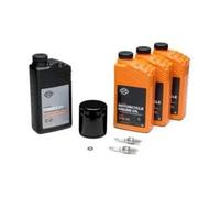 (Harley-Davidson) Kit Tagliando Originale per moto (Harley-Davidson) XL Sportster 883/1200 1986-2020, Olio HD360 SAE 20W-50, Filtro Nero, Candele 6R12