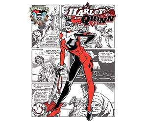 Harley Quinn, 60 x 80 cm, Noto Anche Come dottor Harleen Quinzel Frances cm Tela