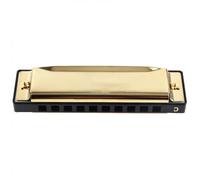 Harmonica Pour Étudiants 10 fori 20 toni oro opaco/nero portatile armonica a bocca blues arpa strumento musicale in acciaio inossidabile(Gold)