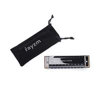 Harmonica Rayzm, Armonica Diatonica 10 Fori 20 Toni, Harmonica Blues Harp per adulti e bambini, Ance Responsive Bronzo Fosforo, Pettine in Resina