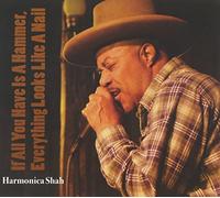 Harmonica Shah - If All You Have Is A Hammer
