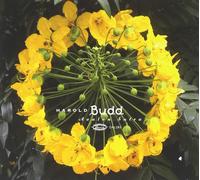 Harold Budd Avalon Sutra (CD)