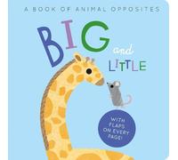 Harriet Evans Big and Little (Libro di cartone)