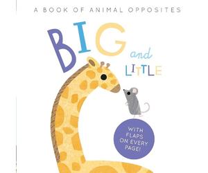 Harriet Evans Linda Tordoff Big and Little (Libro di cartone)