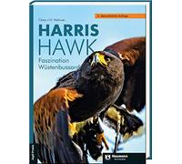 Harris Hawk: Faszination Wüstenbussard