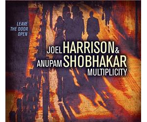 Harrison, Joel & Shobhakar, Anupam - Multiplicity Leave The Door Open