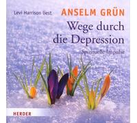 Harrison,Levi - Wege Durch die Depression
