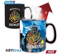 HARRY POTTER - Mug Heat Change - 460 ml - Letter - cardboard
