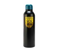 Harry Potter Acciaio 700ml Bottiglia per Acqua (BS3726)