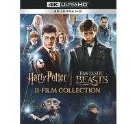 Harry Potter and Fantastic Beasts 11-Film Collection (4K Ultra (4K UHD Blu-ray)
