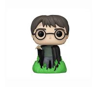 Harry Potter and The Chamber of Secrets - Harry with Floo Powder 20th Anniversary Glow in The Dark
