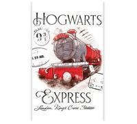 Harry Potter Asciugamano 30x50cm per Ospiti Bambina Cotone