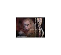 Harry Potter Bastone Alastor Malocchio Moody Replica 1:1 Noble Collection