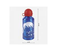 Harry Potter Bottiglia Borraccia Alluminio Blu con Harry Cerdà