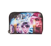 Harry Potter By Loungefly Portafoglio Scorcerers Stone Loungefly