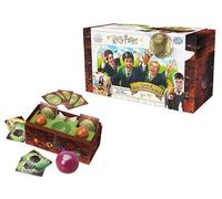 HARRY POTTER CACCIA AL BOCCINO D'ORO 6063729
