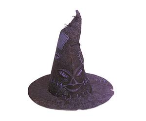 Harry Potter - Cappello Parlante